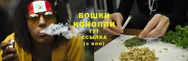 молекула духа Нея