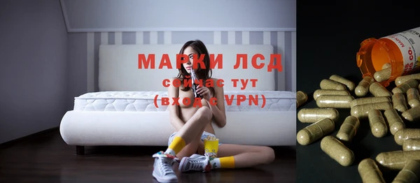 спайс Алзамай