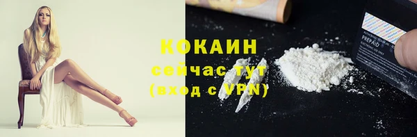 соль ск Алексин