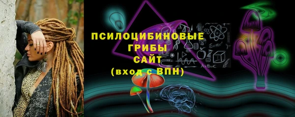спайс Алзамай