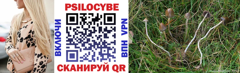 Псилоцибиновые грибы Psilocybe  где купить наркоту  Поронайск 